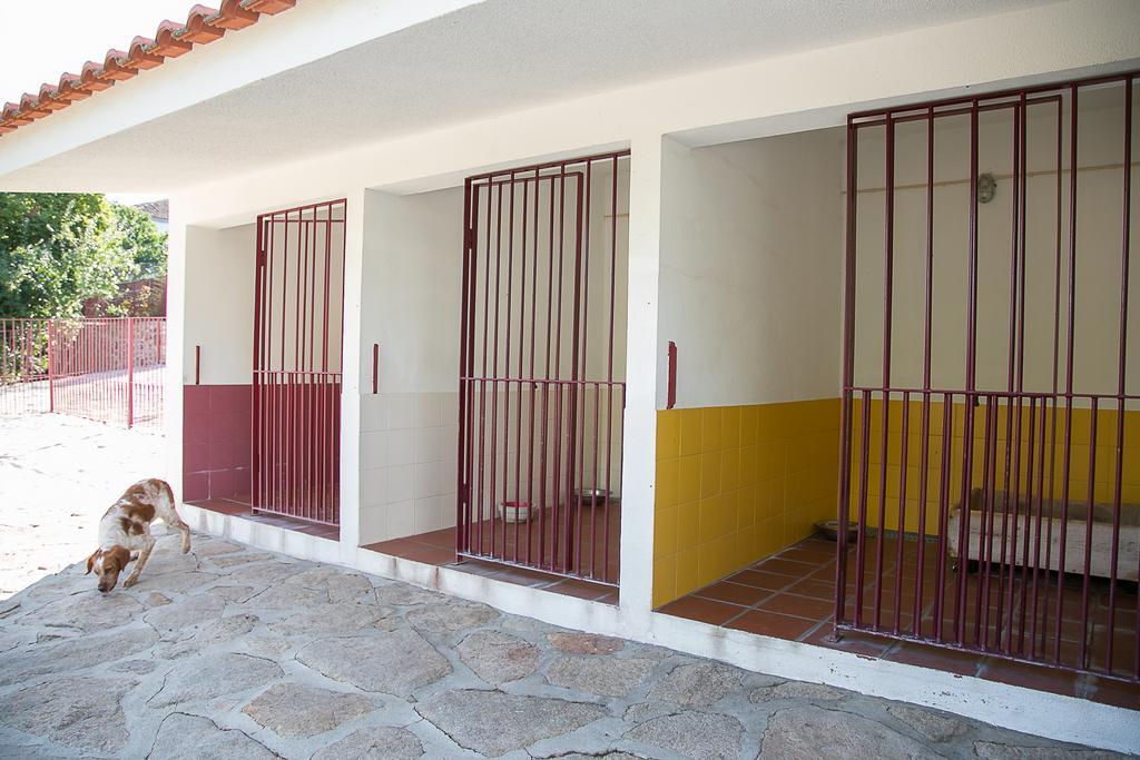 Solar dos Almeidas - Turismo de Habitacao Trancoso Exterior foto